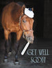 Get Well Card - Horse & Thermometer