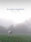 Sympathy Card - So Warmly Remembered...