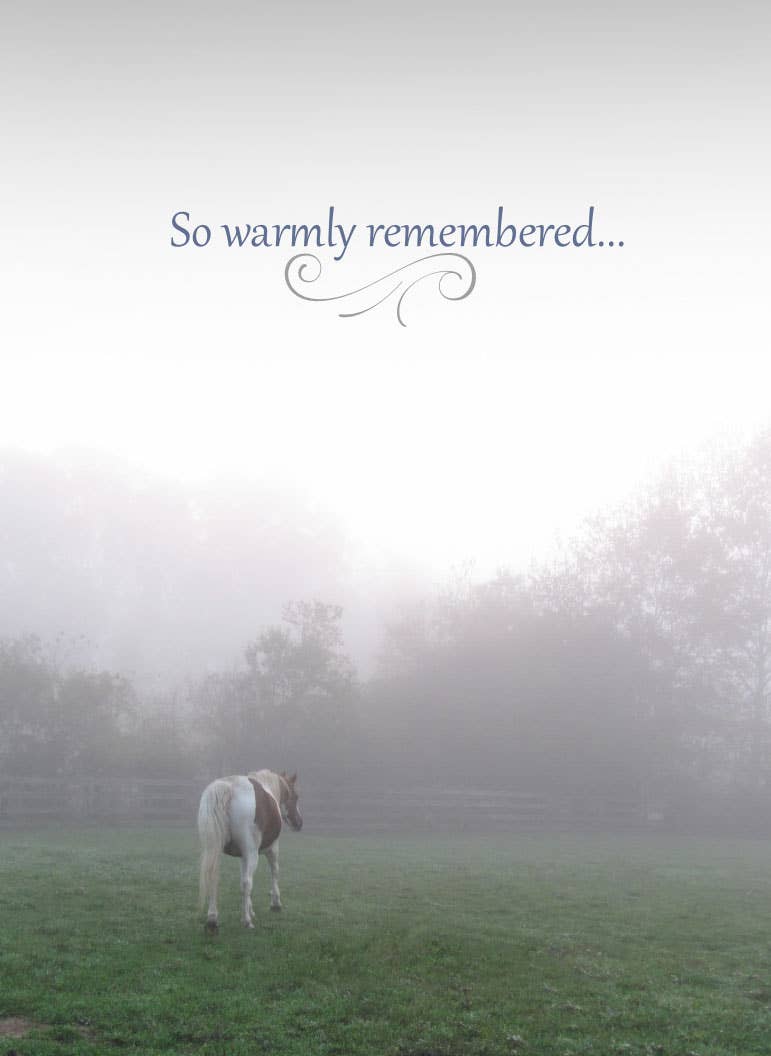 Sympathy Card - So Warmly Remembered...