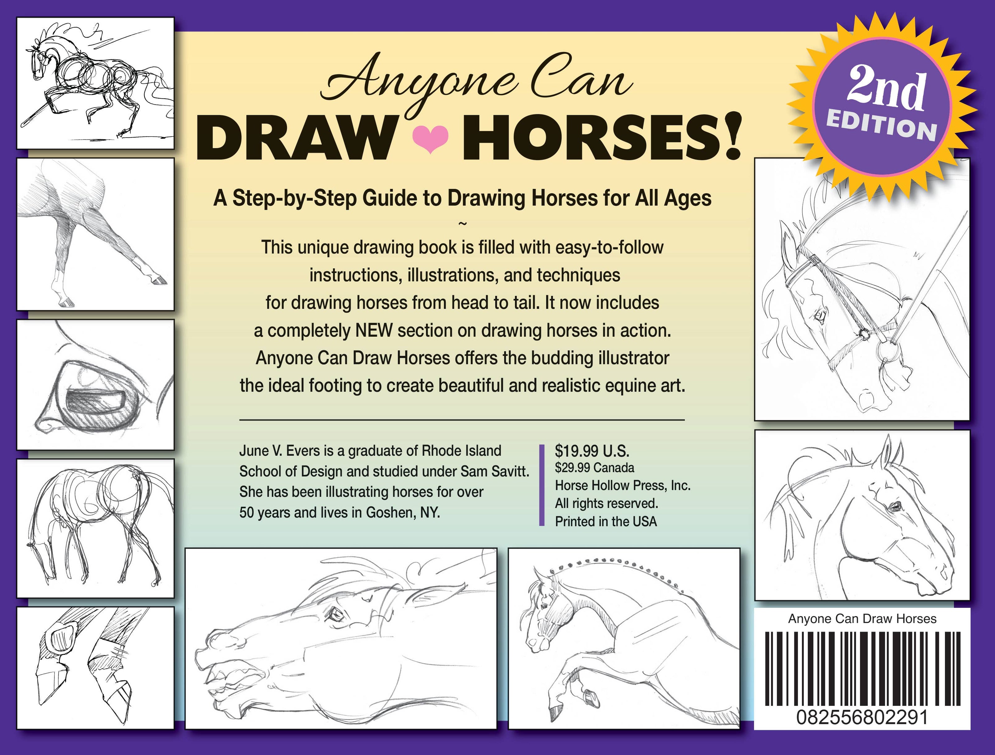 Equestrian Art Book Anyone Can Draw Horses