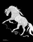 Art Coloring Kit Horse Drawings w/ Pencils