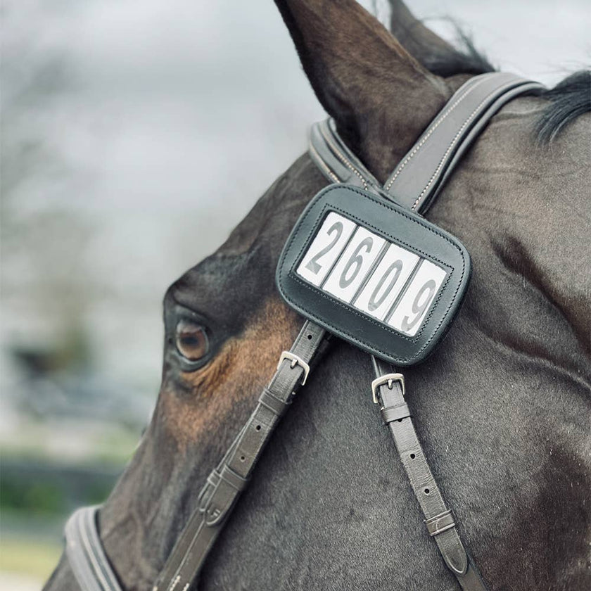 ACE Equestrian PRO4MANCE ID Black shown on bridle horse model