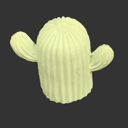 AC Pottery Cactus