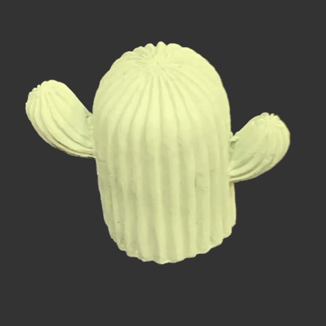 AC Pottery Cactus