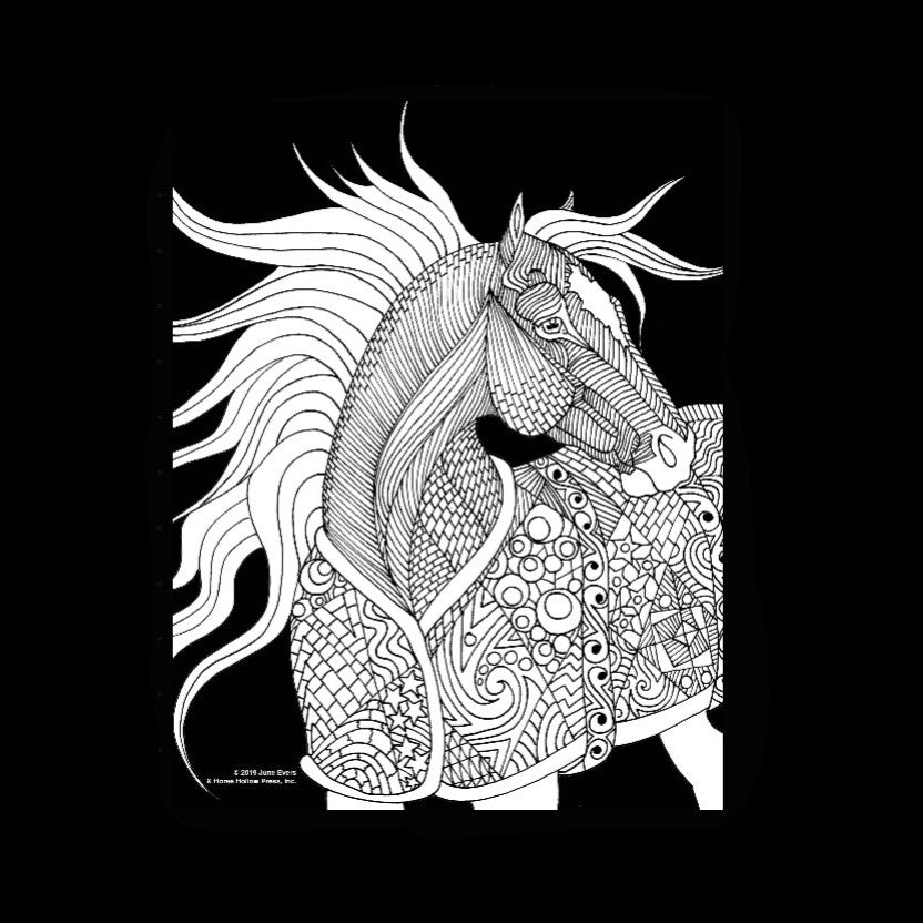 Art Coloring Kit Horse Drawings w/ Pencils