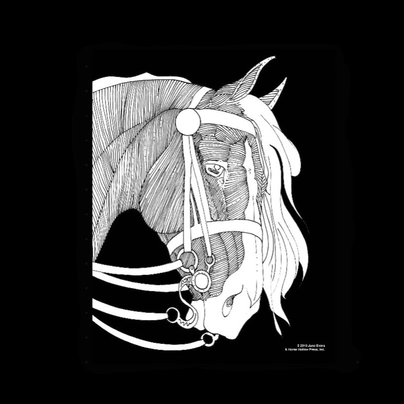 Art Coloring Kit Horse Drawings w/ Pencils