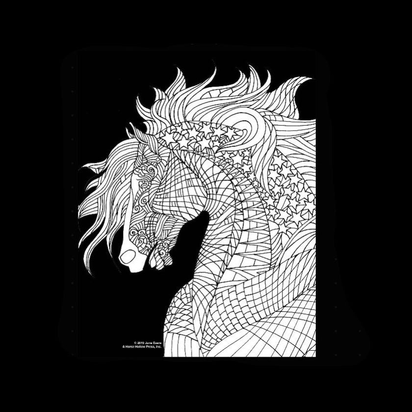 Art Coloring Kit Horse Drawings w/ Pencils