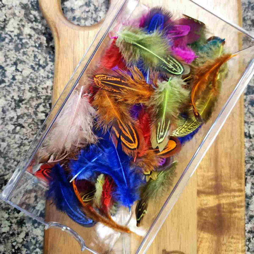 Assorted Colors Natural Pheasant Feathers