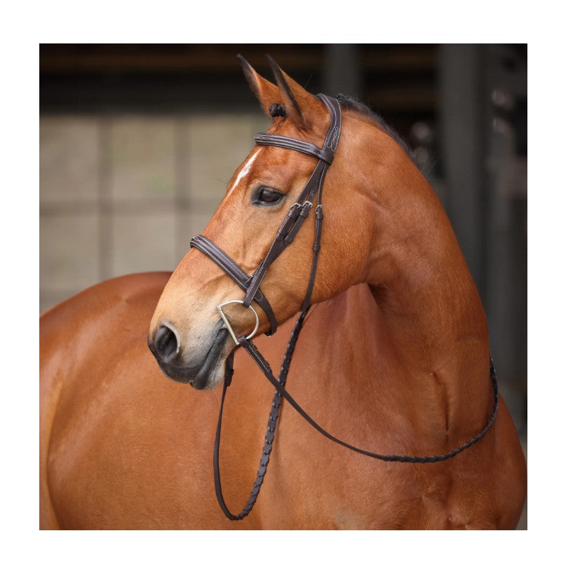  Avignon Ocala Bridle Havana