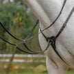 Avignon Three Point Breastplate in havana