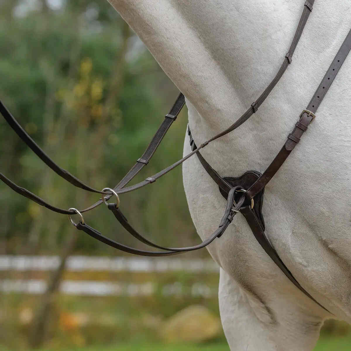 Avignon Three Point Breastplate in havana