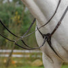 Avignon Three Point Breastplate in havana
