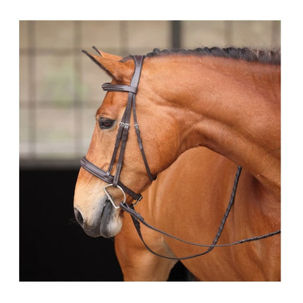 Avignon Wellington Bridle Havana