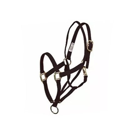 Basic Pull Back Training Halter Black