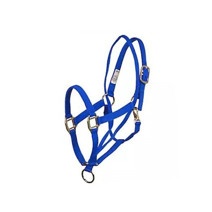 Basic Pull Back Training Halter Blue