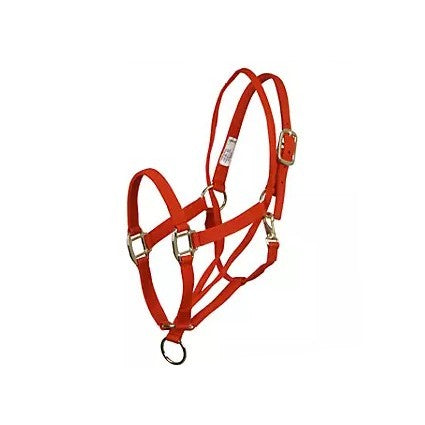 Basic Pull Back Training Halter Red