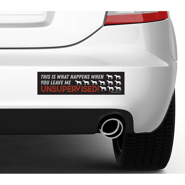Bumper Sticker: ...This is what... on a car