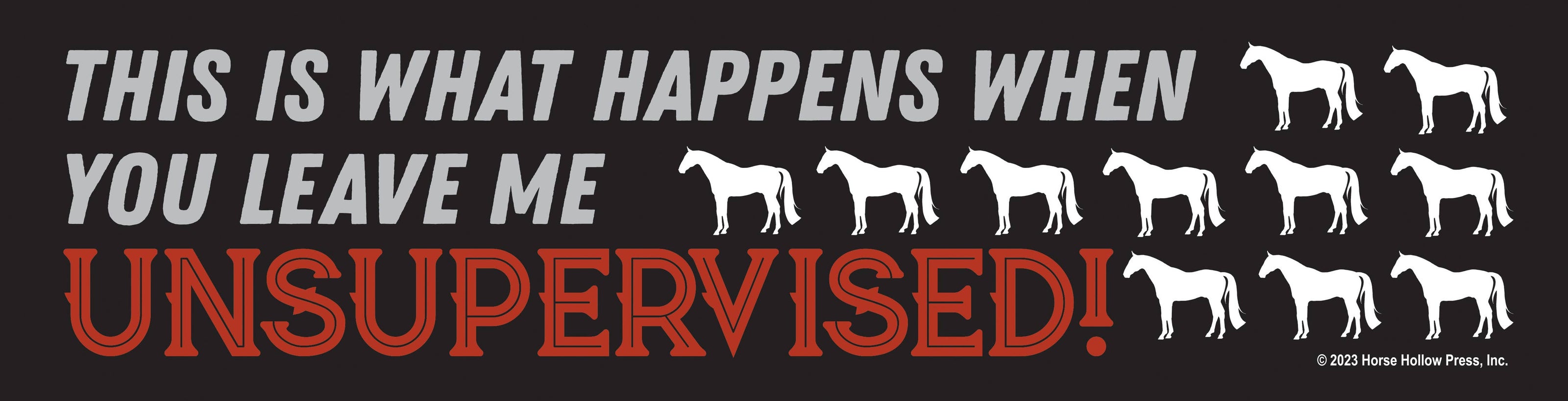 Bumper Sticker: This is what happens...