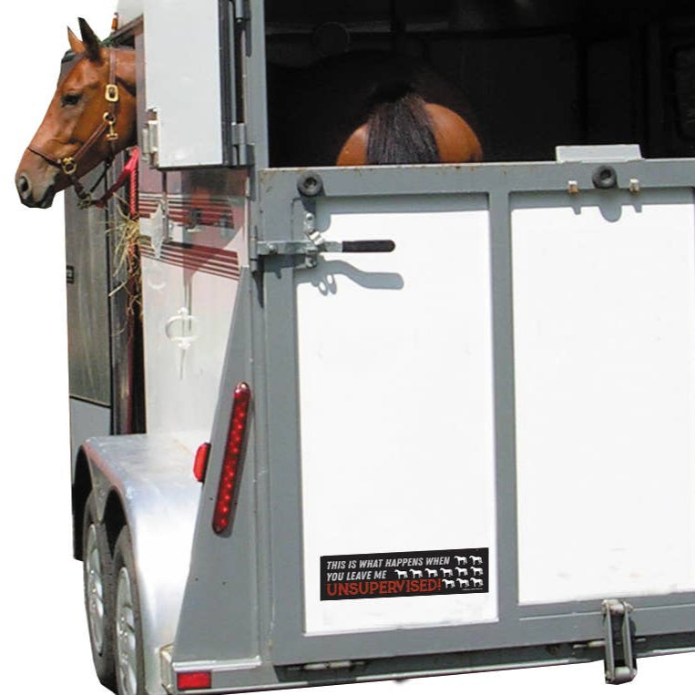 Bumper Sticker: ...This is what... on a trailer