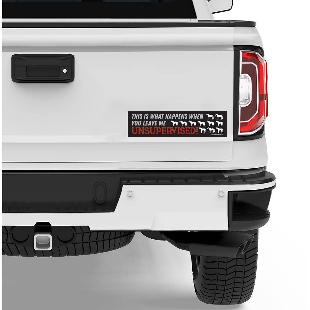 Bumper Sticker: ...This is what... on a truck
