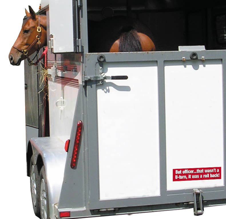 Horse in a trailer with humorous Bumper Sticker: But Officer...