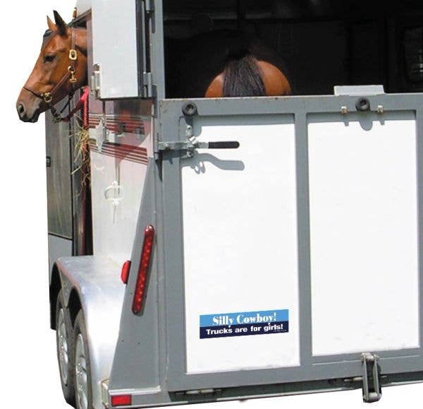 Horse in a trailer with a humorous 'Silly Cowboy' sticker on the door.
