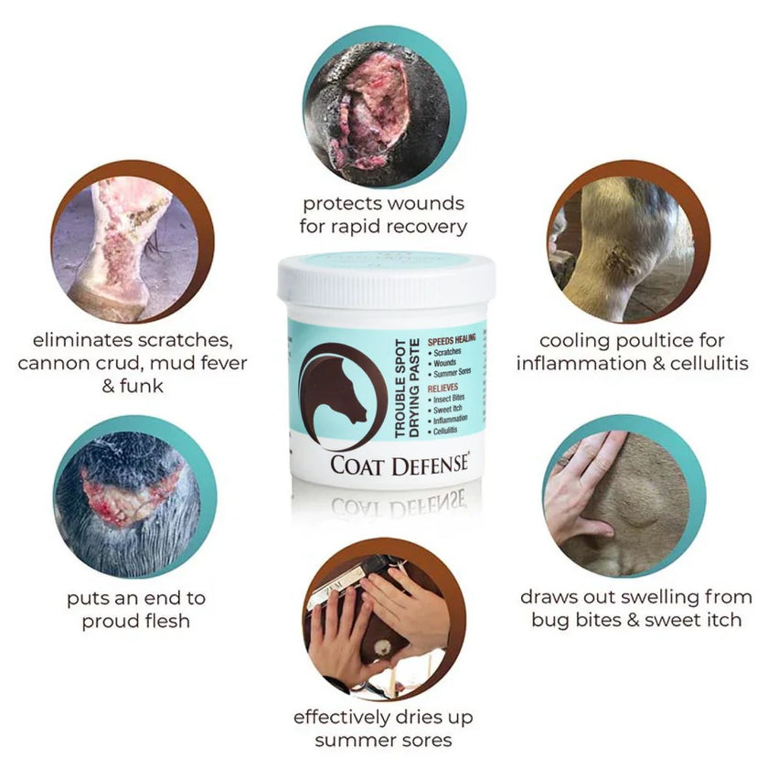 COAT DEFENSE® Trouble Spot Drying Paste for Horses - 10 oz Effect description.