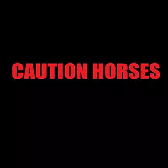 CAUTION HORSES Reflective Trailer Decal