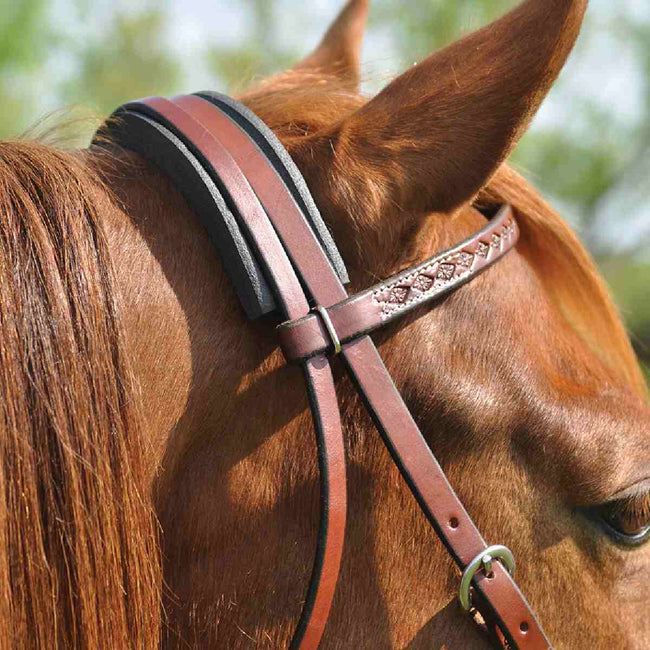 Cashel Caveson-Crown Channel on a horse