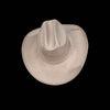 Childrens Yellowstone Western hat Ivory top view