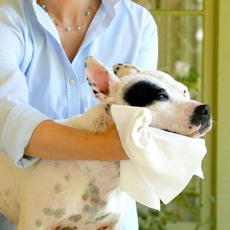 Betty's Best Skin & Coat Cloth Wipes XXL - Wipes Pack