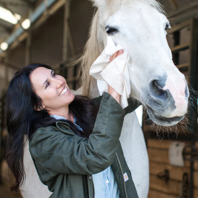 Betty's Best Skin & Coat Cloth Wipes XXL