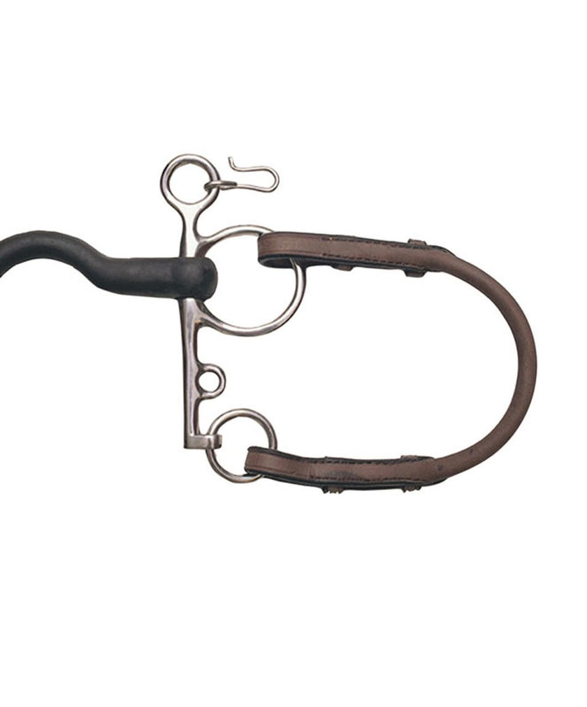 Collegiate Bit Converters