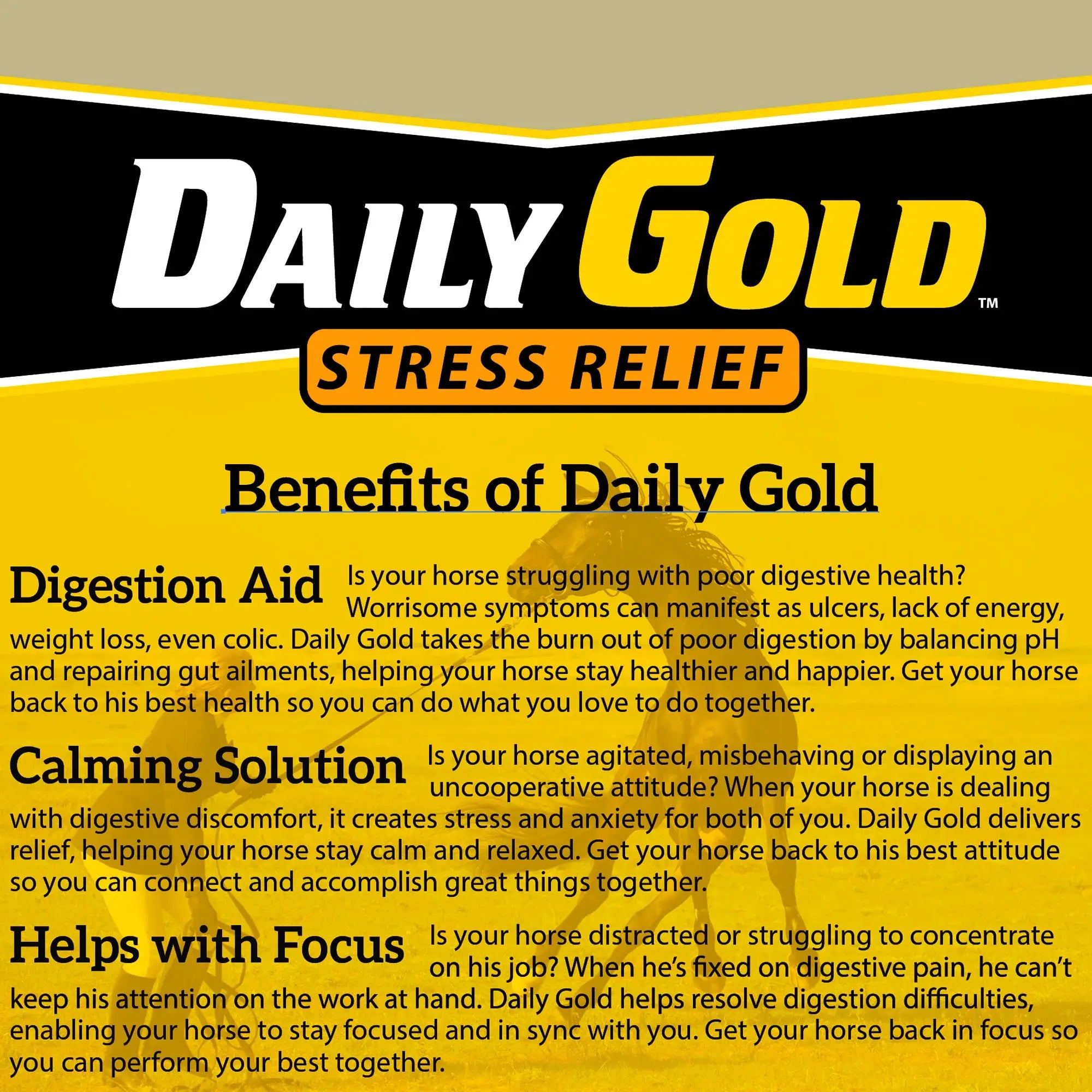 Redmond Daily Gold Stress Relief for Horses