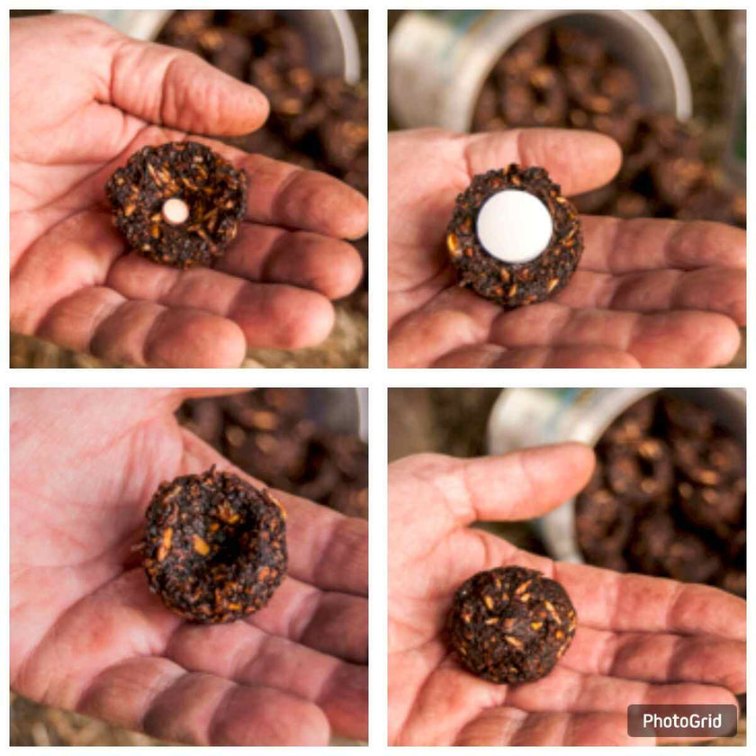 Dimples® Horse Treats showing four views of the product - with small pill, with large pill and front and back of treat.