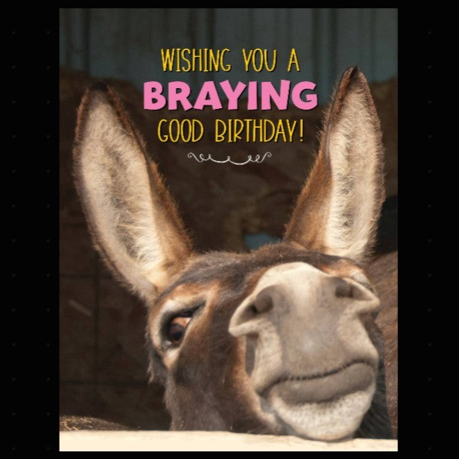 Donkey with text 'Wishing you a braving good birthday!' 