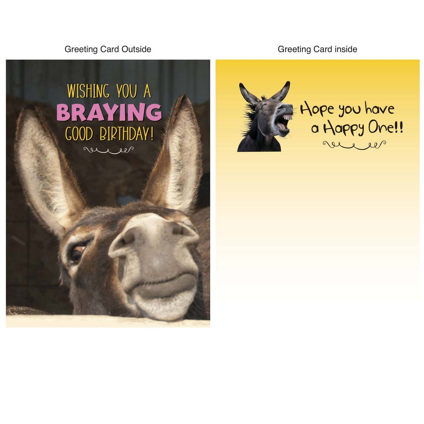 Greeting card with donkey on outside and inside text