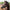 KHS-E Monty Roberts Dually™ Schooling Halter