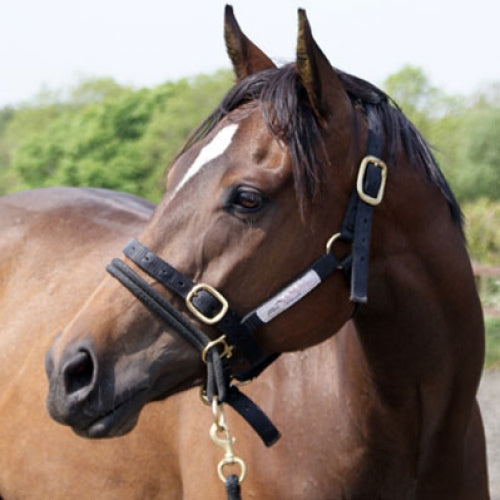 KHS-E Monty Roberts Dually™ Schooling Halter