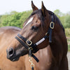 KHS-E Monty Roberts Dually™ Schooling Halter