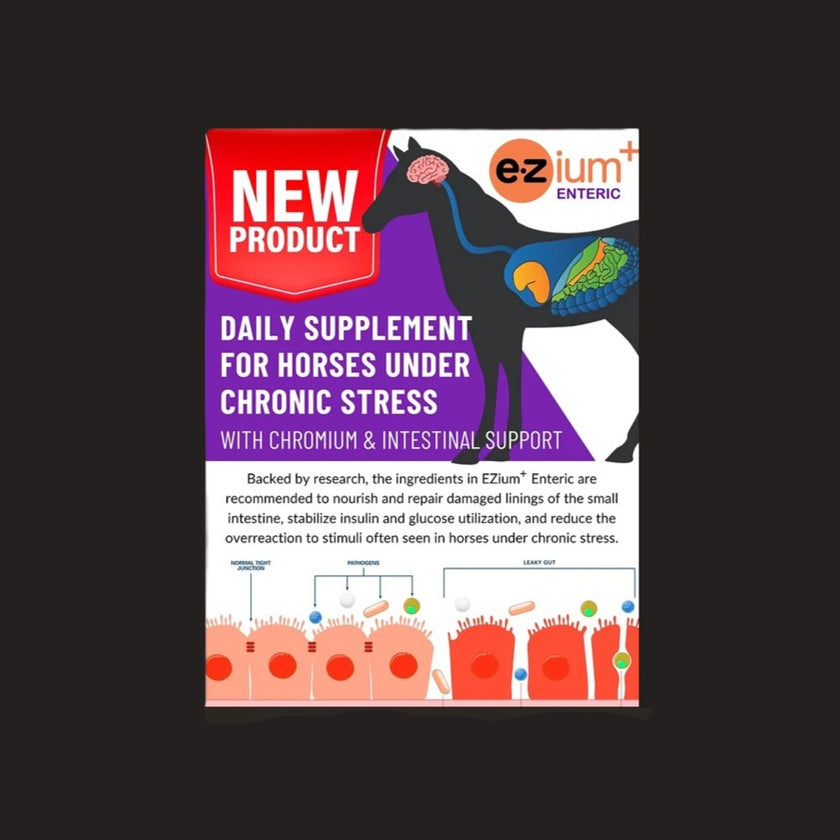 EZium+ Enteric Supplement detailed info