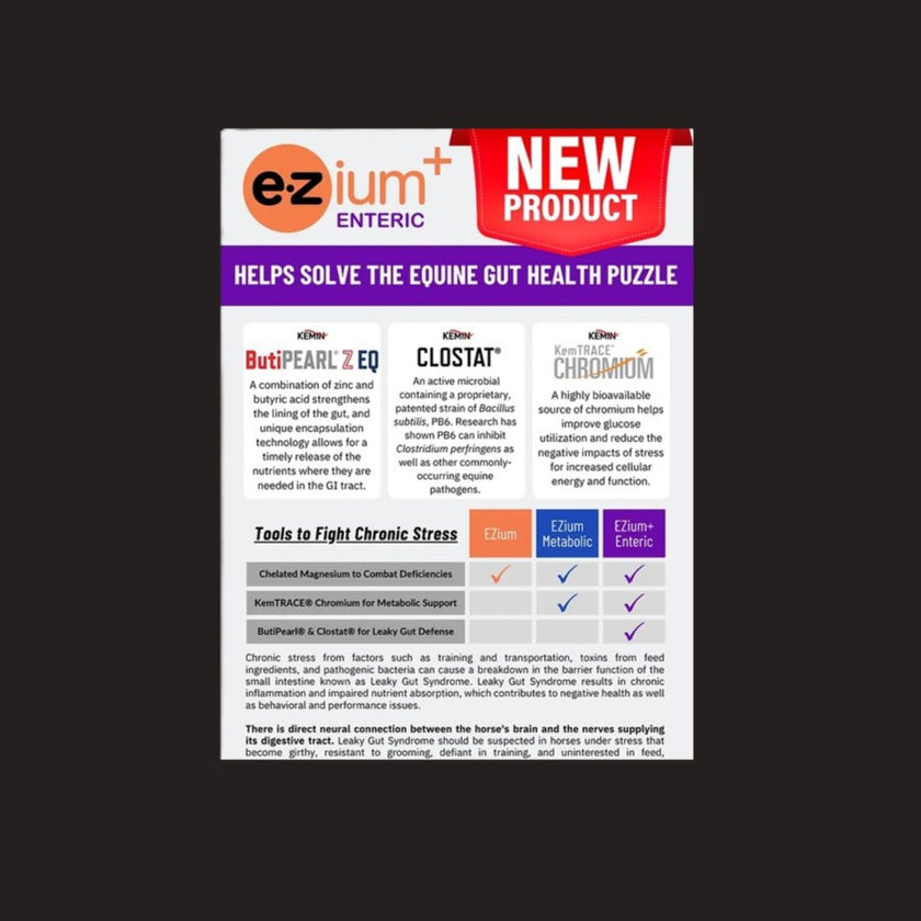 EZium+ Enteric Supplement solve the health puzzle