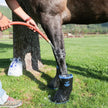 Easyboot Remedy Horse Boot filling with water 