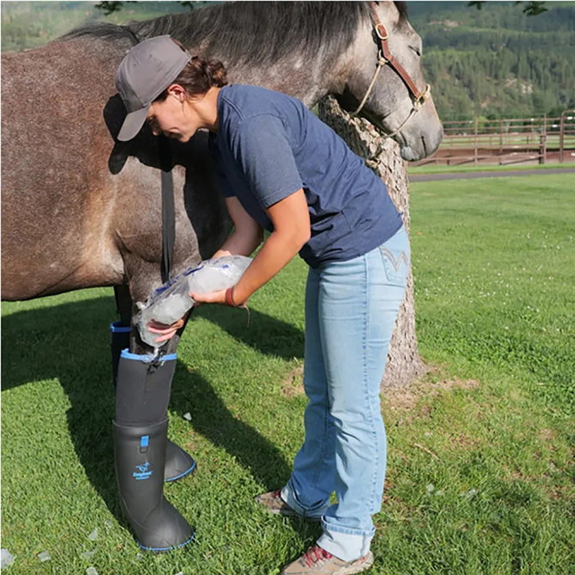 Easyboot Ultimate Remedy Horse Boot