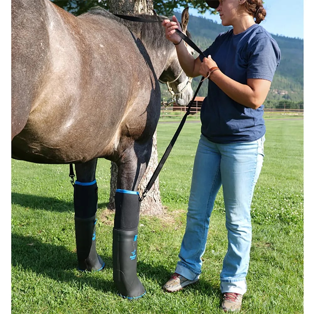 Easyboot Ultimate Remedy Horse Boot