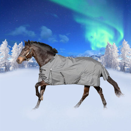 Equinavia Arktis Regular Neck Turnout Sheet - Carbon Gray Full view on horse moving.