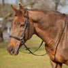 Equinavia Saga Bitless Bridle Full view