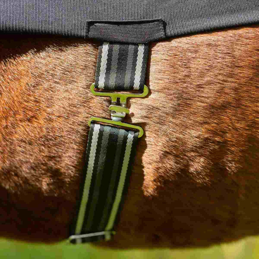 Eq uinavia Sefyr Scrim Sheet shows details of hidden surcingle