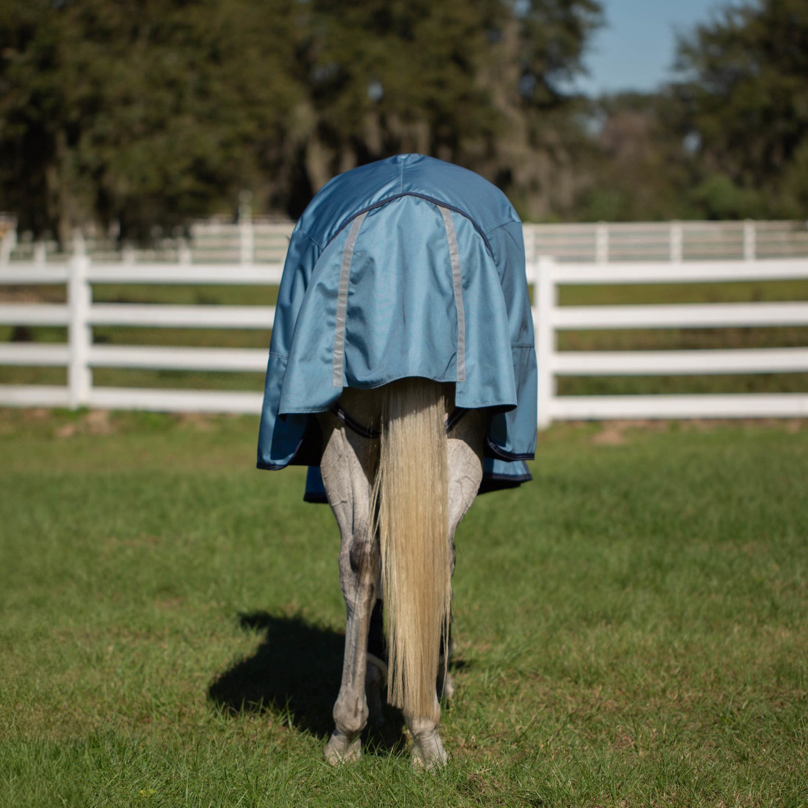 Equinavia Thunder 360 Detachable Neck Heavy Weight Turnout Blanket 300g - Bluestone Blue - Back detail