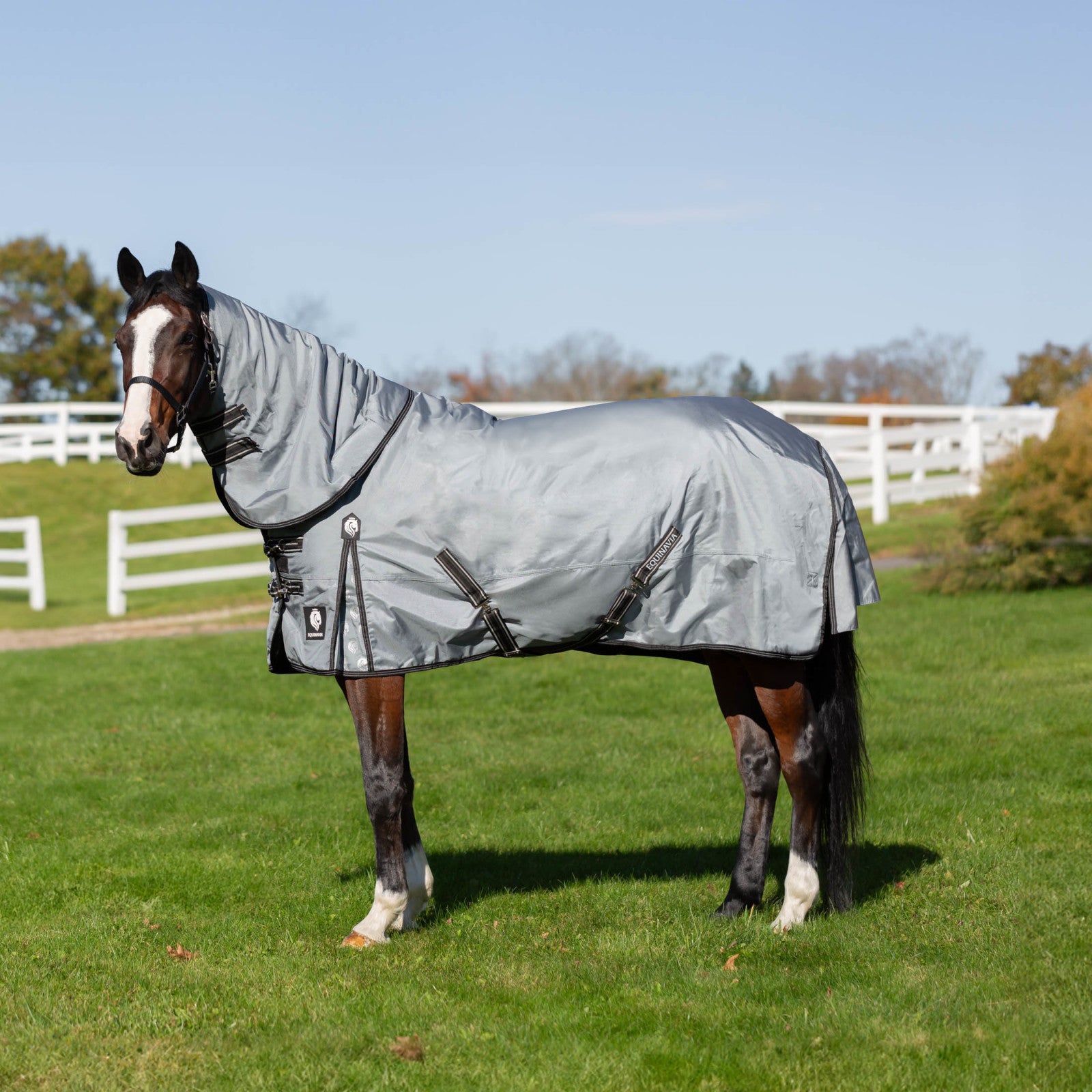 Equinavia Thunder 360 Detachable Neck Mid Weight Turnout Blanket 200g - Pewter Gray full view